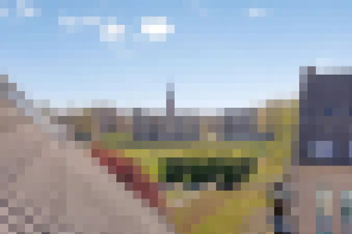 de Balmerd 177 Beuningen Gld thumbnail 24