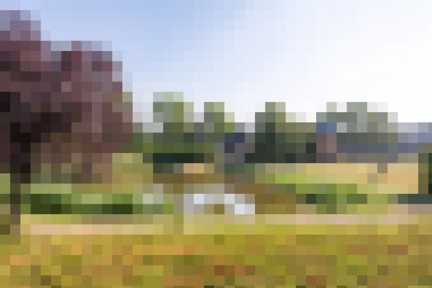 de Balmerd 193 Beuningen Gld thumbnail 37