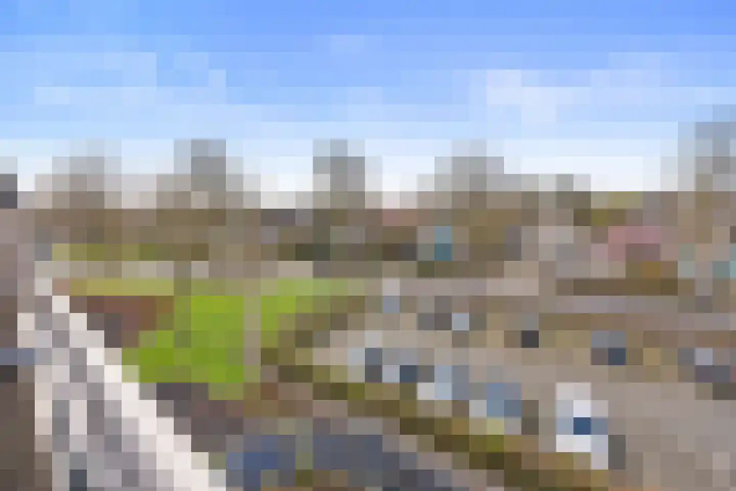 de Balmerd 219 Beuningen Gld thumbnail 11