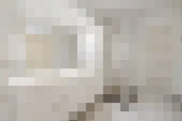 de Balmerd 219 Beuningen Gld thumbnail 22