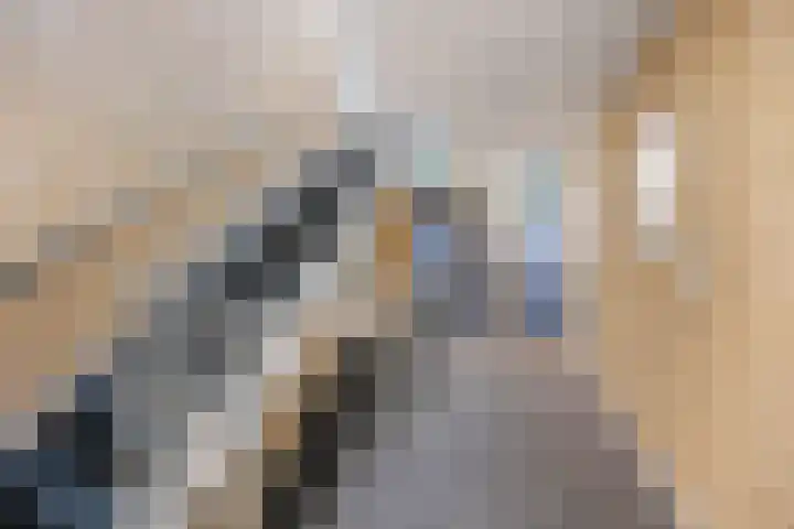 de Balmerd 219 Beuningen Gld thumbnail 35