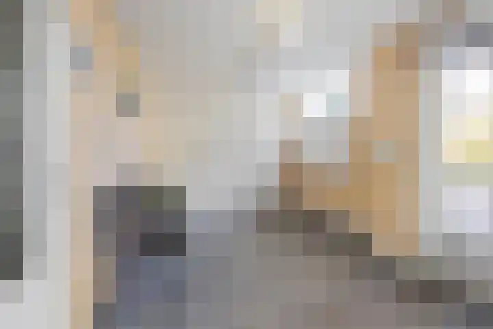 de Balmerd 219 Beuningen Gld thumbnail 37