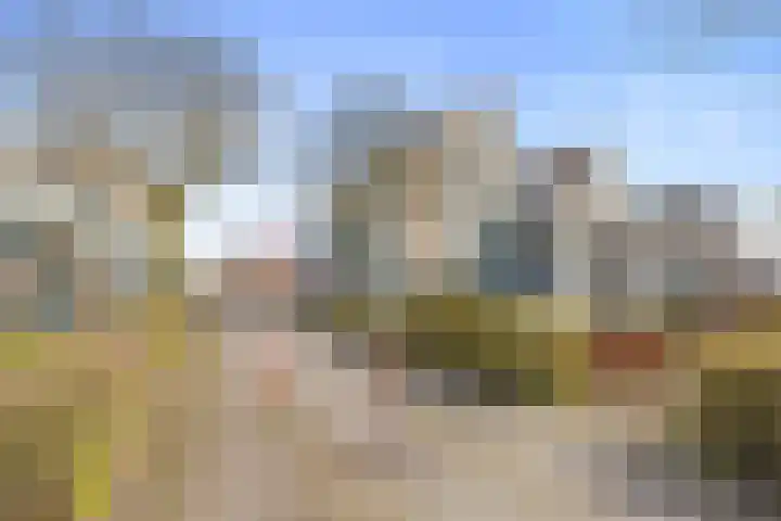 de Balmerd 219 Beuningen Gld thumbnail 43