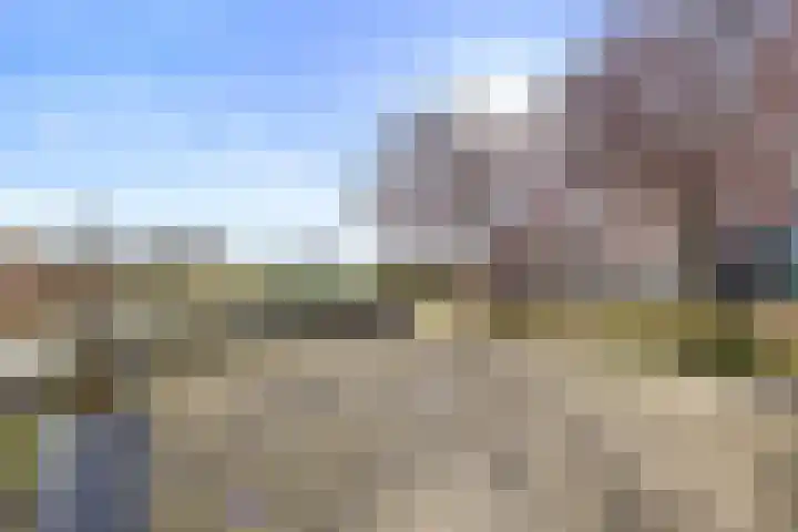 de Balmerd 219 Beuningen Gld thumbnail 44