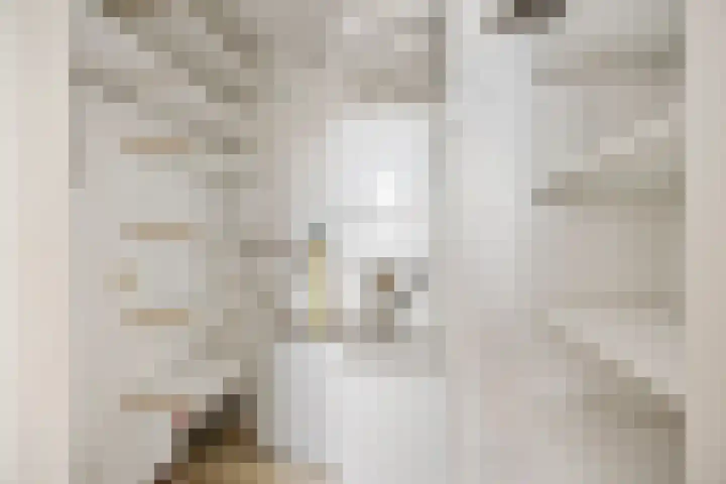 de Balmerd 219 Beuningen Gld thumbnail 7