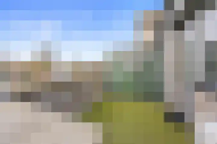 de Balmerd 219 Beuningen Gld thumbnail 9