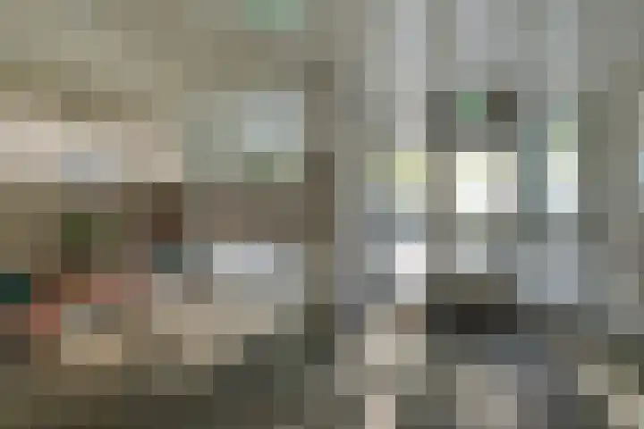 de Balmerd 233 Beuningen Gld thumbnail 10