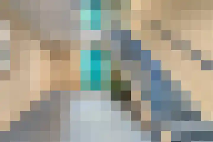 de Balmerd 233 Beuningen Gld thumbnail 11