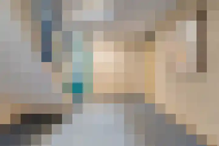 de Balmerd 233 Beuningen Gld thumbnail 12