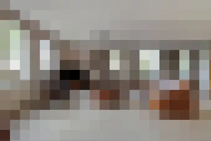 de Balmerd 233 Beuningen Gld thumbnail 17