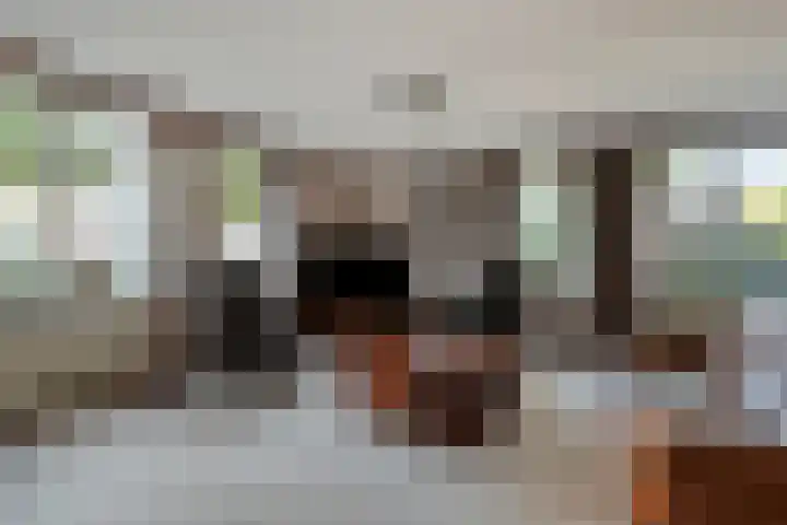 de Balmerd 233 Beuningen Gld thumbnail 18