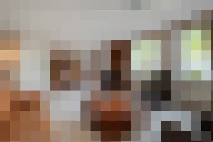 de Balmerd 233 Beuningen Gld thumbnail 19