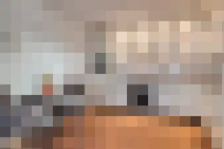 de Balmerd 233 Beuningen Gld thumbnail 24