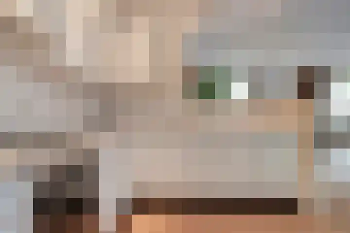 de Balmerd 233 Beuningen Gld thumbnail 26