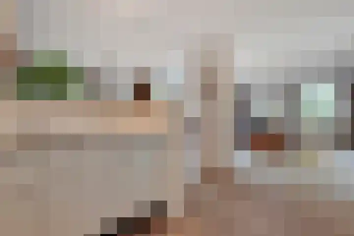 de Balmerd 233 Beuningen Gld thumbnail 27