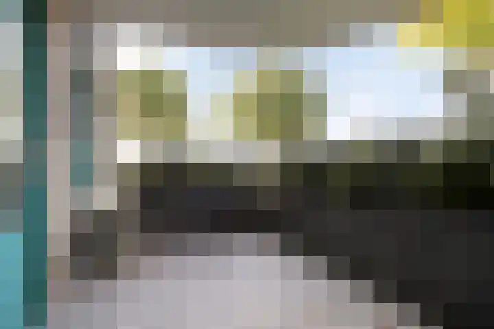de Balmerd 233 Beuningen Gld thumbnail 28