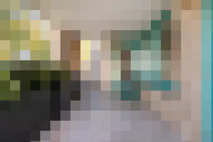 de Balmerd 233 Beuningen Gld thumbnail 30