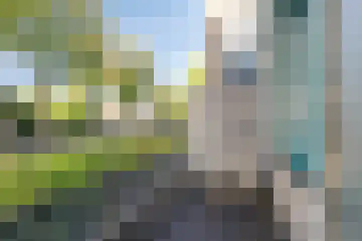 de Balmerd 233 Beuningen Gld thumbnail 31
