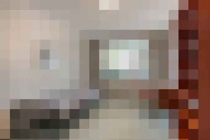 de Balmerd 233 Beuningen Gld thumbnail 34