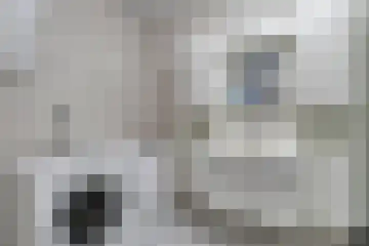 de Balmerd 233 Beuningen Gld thumbnail 36
