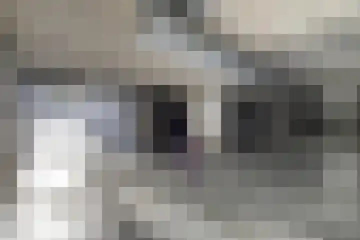 de Balmerd 233 Beuningen Gld thumbnail 39