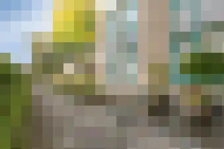 de Balmerd 233 Beuningen Gld thumbnail 41