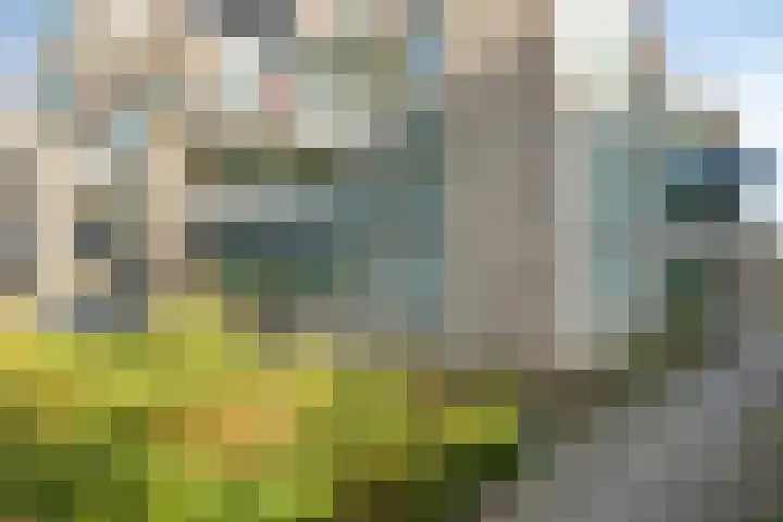 de Balmerd 233 Beuningen Gld thumbnail 42