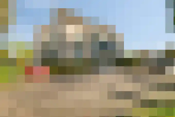de Balmerd 233 Beuningen Gld thumbnail 43