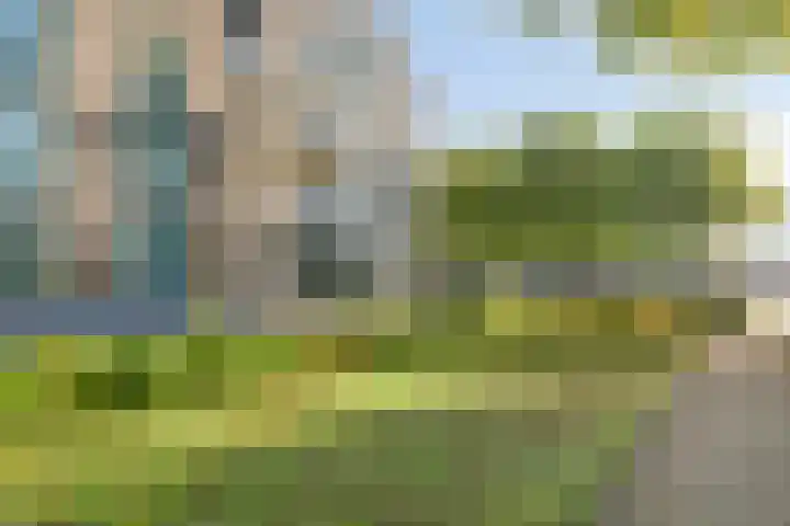 de Balmerd 233 Beuningen Gld thumbnail 6