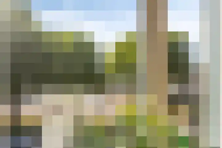 de Balmerd 249 Beuningen Gld thumbnail 22