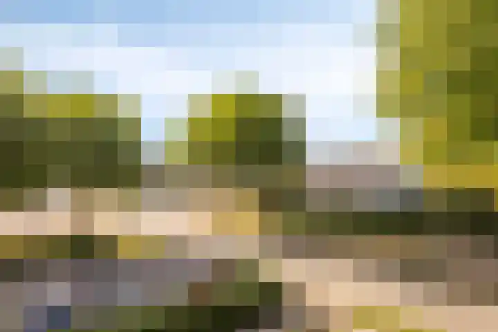 de Balmerd 249 Beuningen Gld thumbnail 25