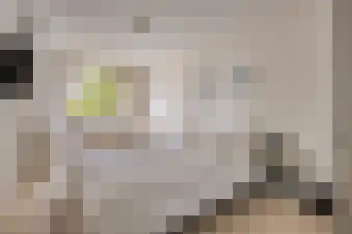 de Balmerd 249 Beuningen Gld thumbnail 26
