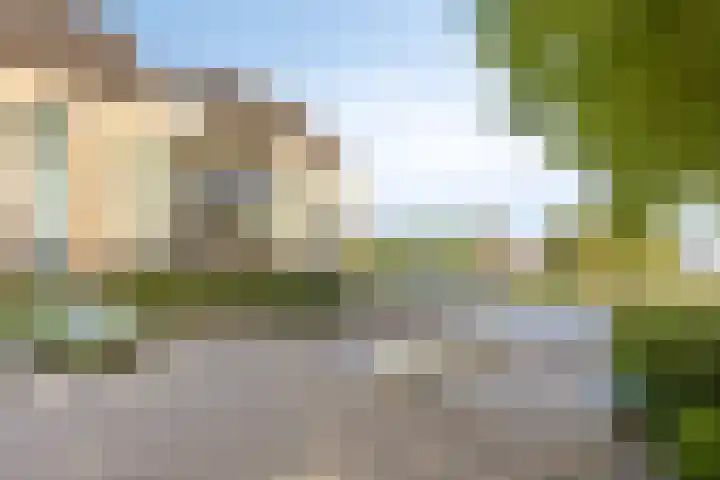 de Balmerd 249 Beuningen Gld thumbnail 33