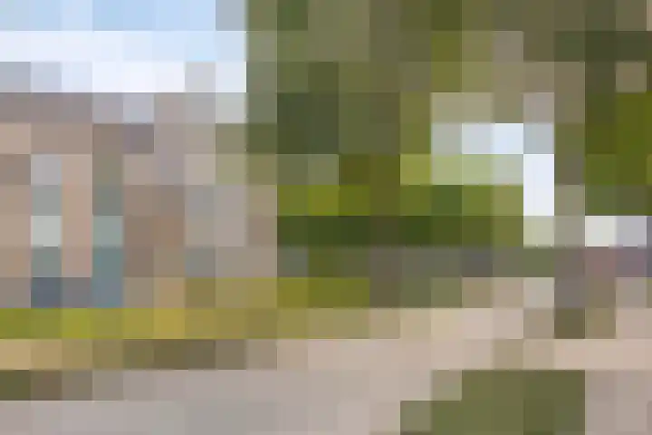 de Balmerd 249 Beuningen Gld thumbnail 34