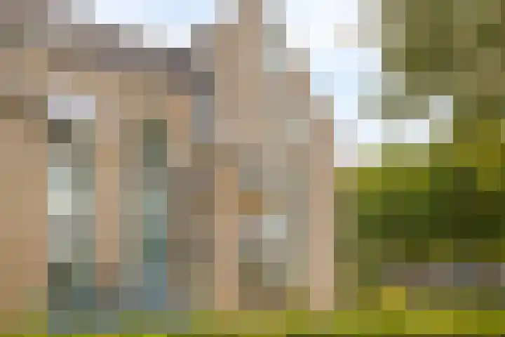 de Balmerd 249 Beuningen Gld thumbnail 35