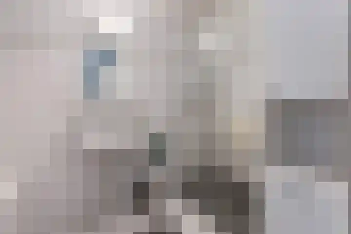 de Balmerd 249 Beuningen Gld thumbnail 4
