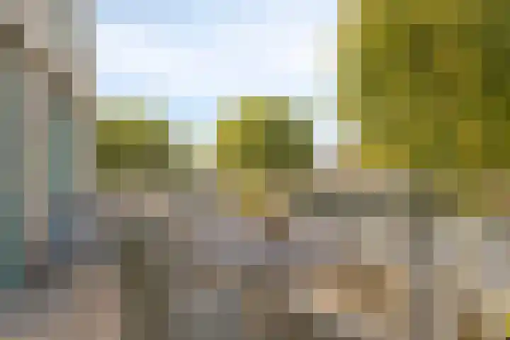 de Balmerd 249 Beuningen Gld thumbnail 5