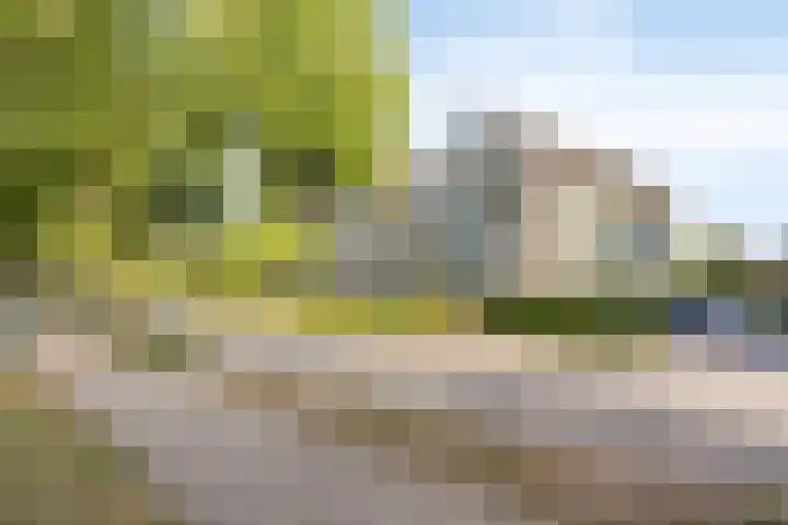de Balmerd 249 Beuningen Gld thumbnail 7