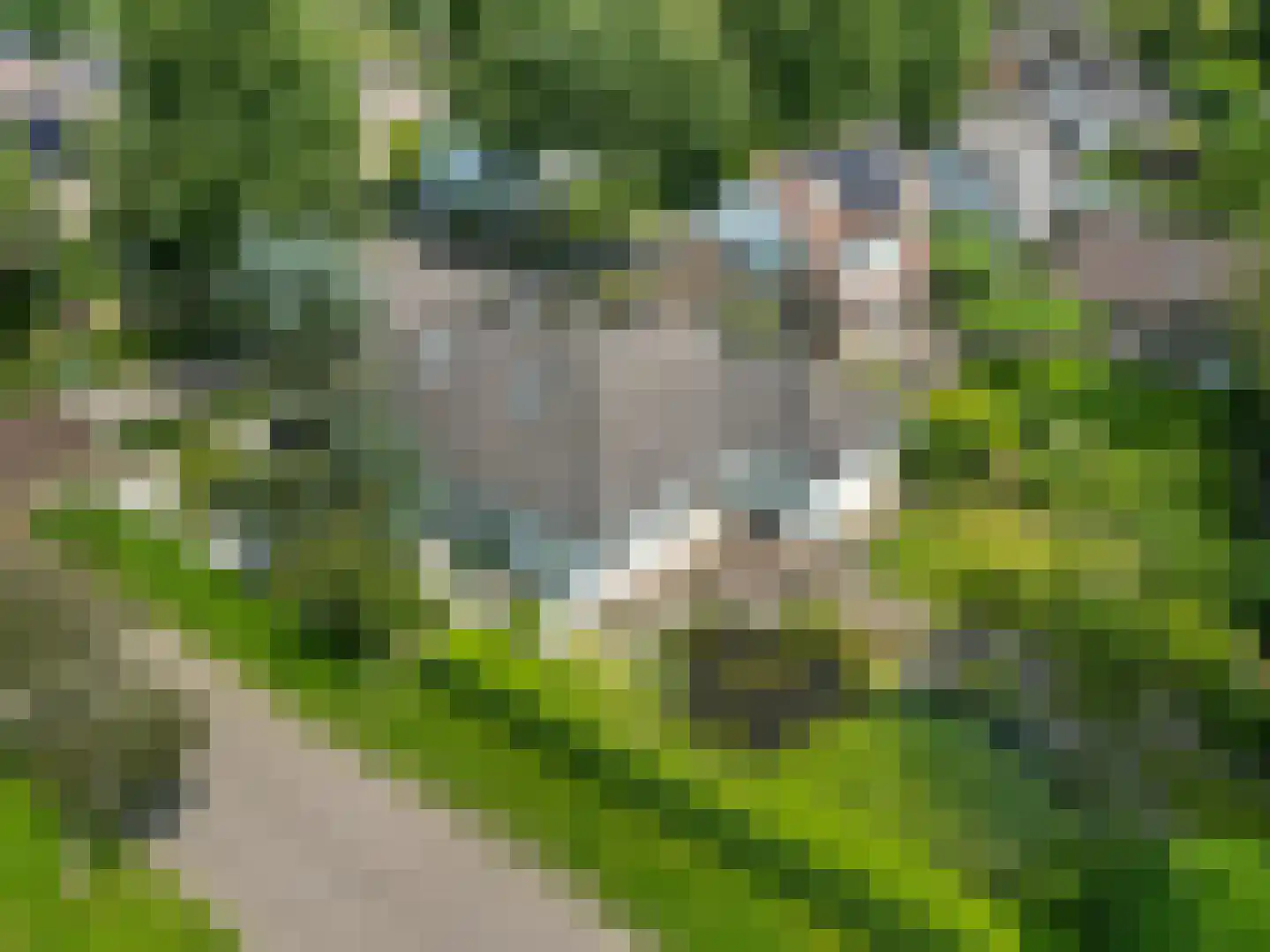 de Balmerd 28 Beuningen Gld thumbnail 12