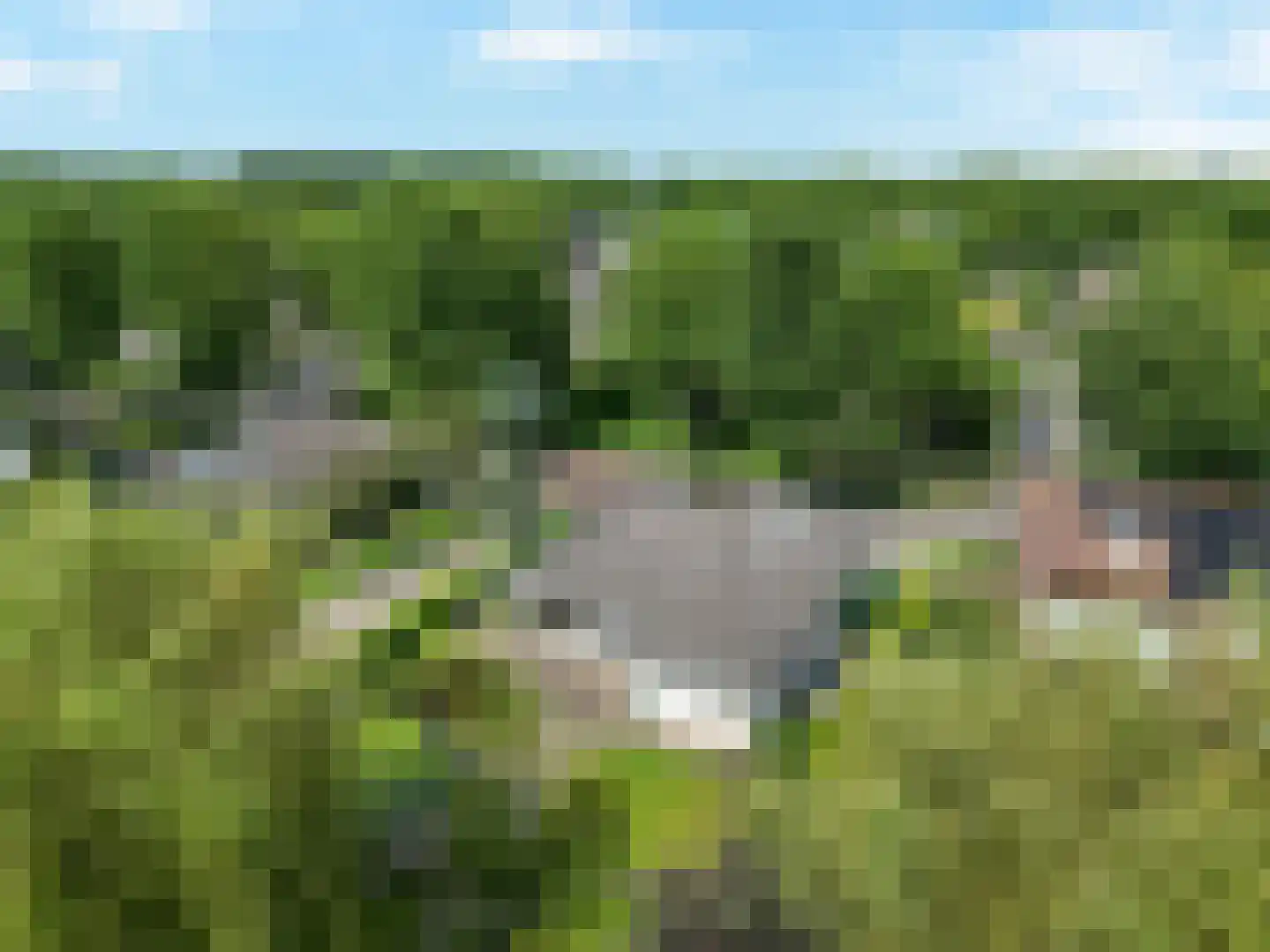 de Balmerd 28 Beuningen Gld thumbnail 31