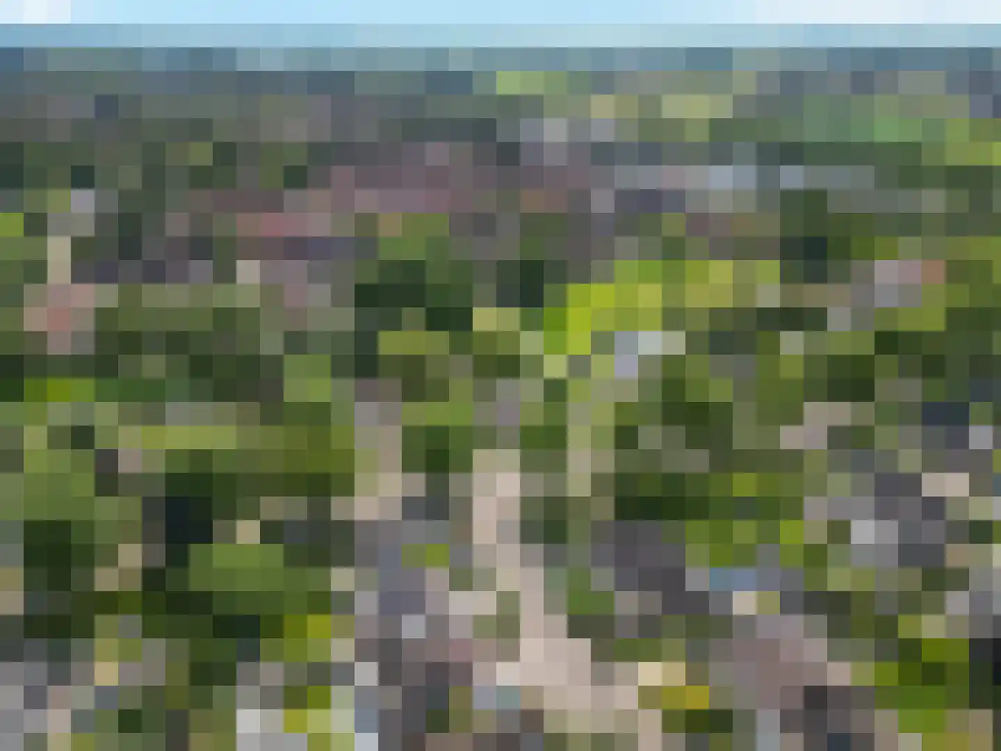 de Balmerd 28 Beuningen Gld thumbnail 33