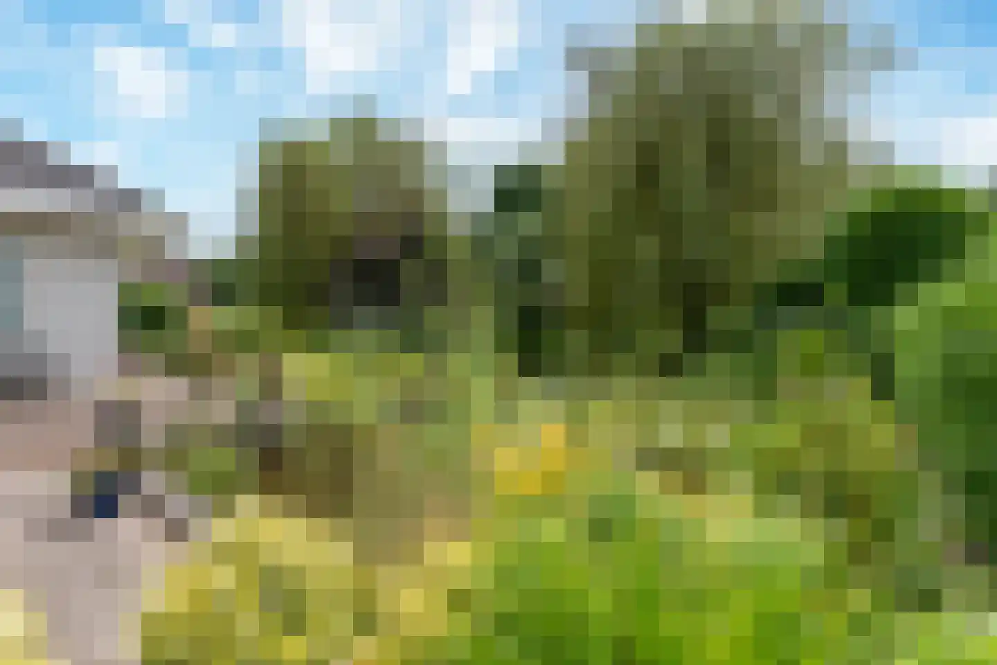 de Balmerd 28 Beuningen Gld thumbnail 33