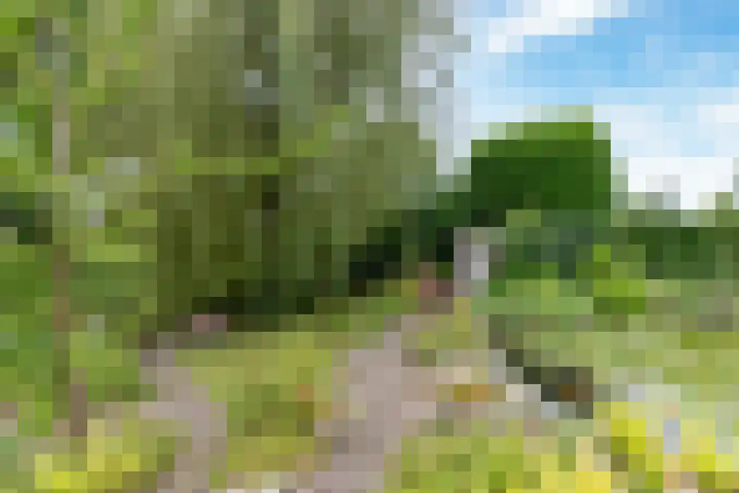 de Balmerd 28 Beuningen Gld thumbnail 34