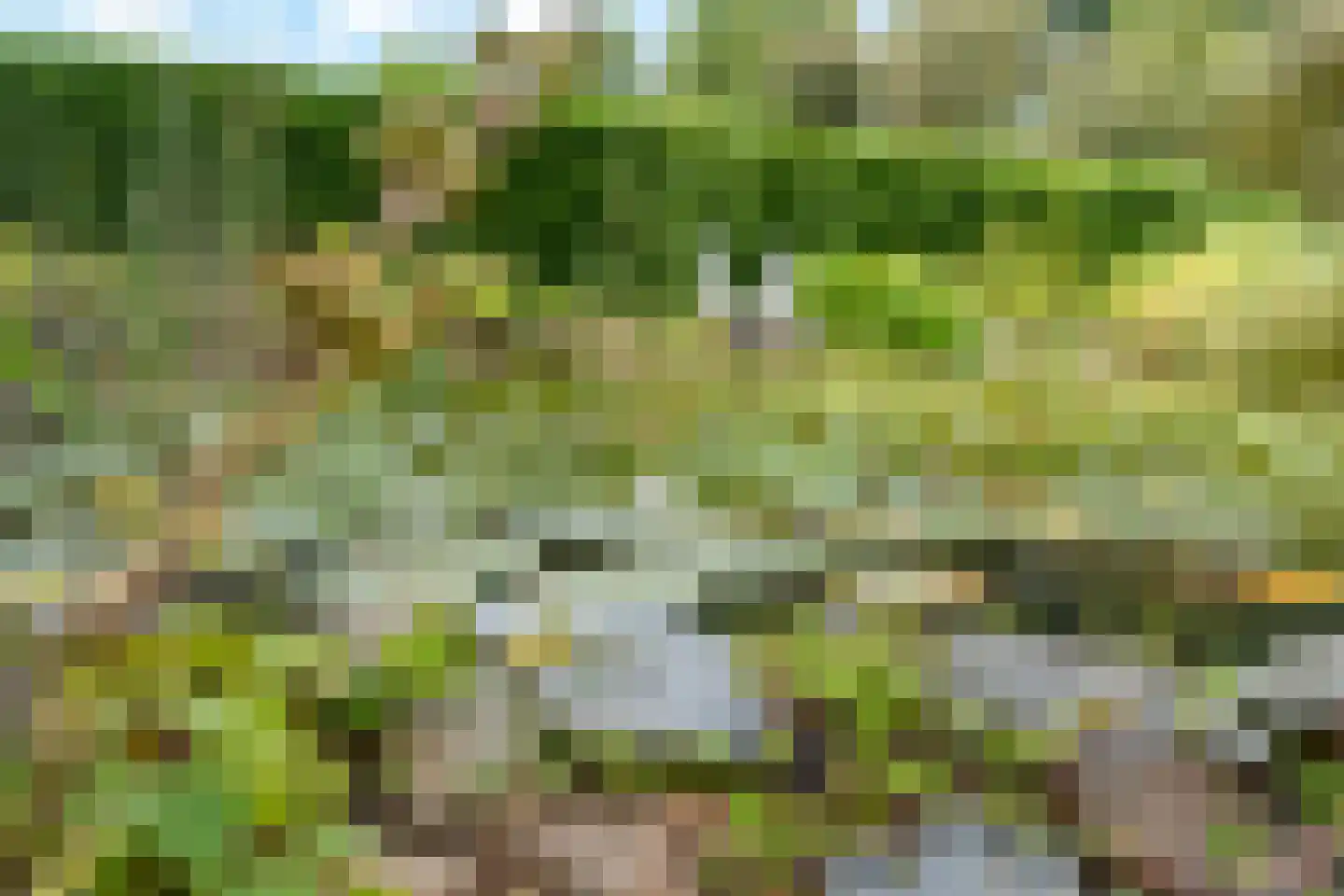de Balmerd 28 Beuningen Gld thumbnail 34