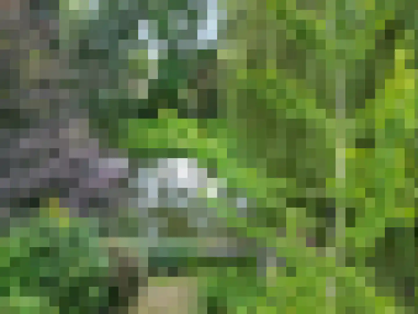 de Balmerd 28 Beuningen Gld thumbnail 37