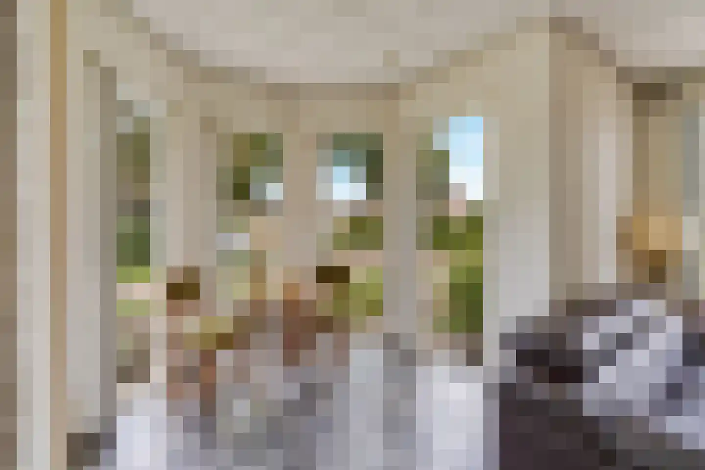 de Balmerd 28 Beuningen Gld thumbnail 9