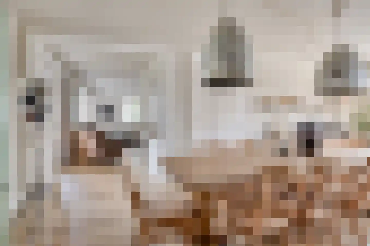 de Ban 10 Braamt thumbnail 13