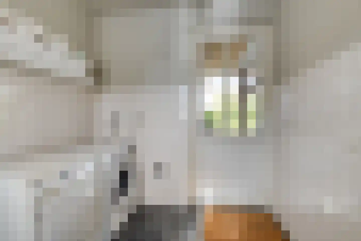 de Ban 10 Braamt thumbnail 17