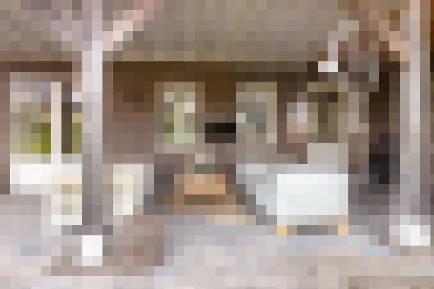 de Ban 10 Braamt thumbnail 39