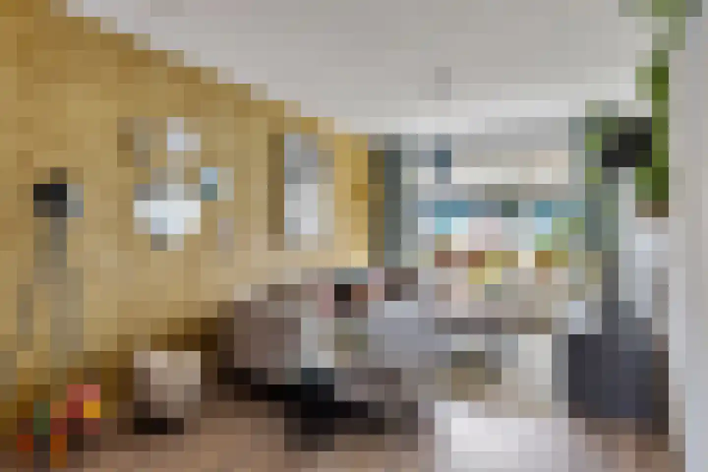 De Bân 12 Ureterp foto 3